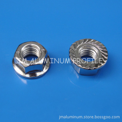 Hex Flange Nut
